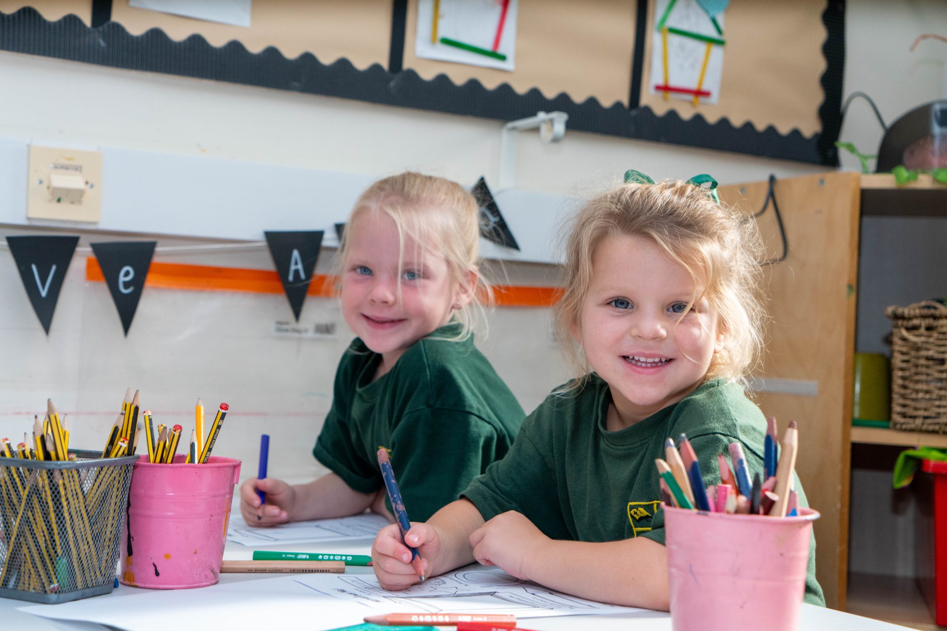 Shorne-Curriculum-26-65